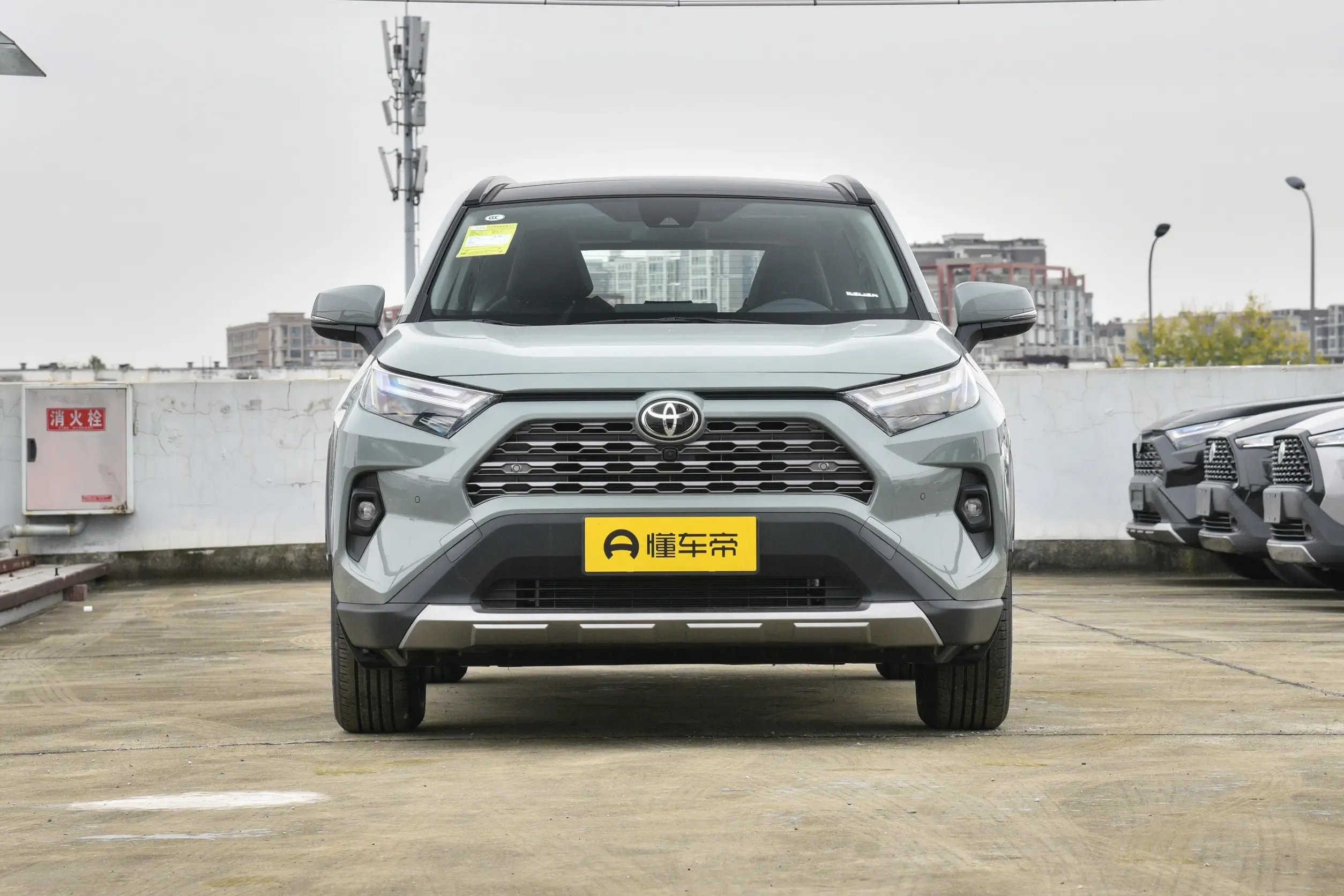 TOYOTA RAV